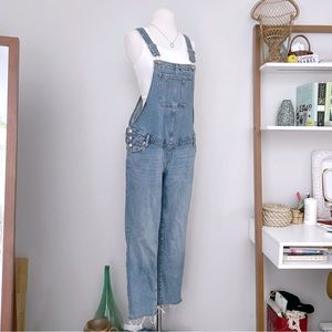 Isabel Maternity Blue Denim Overalls